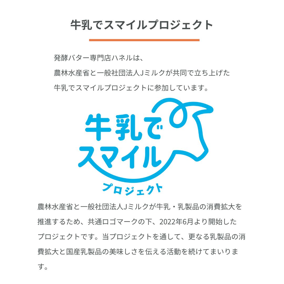 発酵バターケーキ/発酵バター専門店ハネル